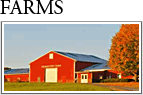 Virginia Farms For Sale