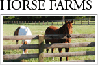 Virginia Horse Farms and Equestrian Properties