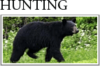 Virginia Hunting Land For Sale