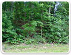 Land in Chesterfield Under $100K