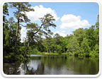 Land in Chesterfield $200K - $500K