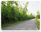 Land in Chesterfield Over $500K