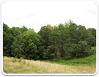 Land in Charlottesville between 1 and 5 Acres for sale
