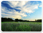 Land in Charlottesville $100K to $200K for sale