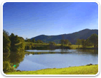Land in Charlottesville over $1M sale
