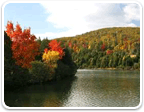 Land in Charlottesville $200K to $400K for sale