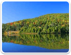 Land in Charlottesville between 25 and 50 Acres for sale
