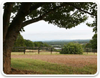 Land in Charlottesville $400K to $600K for sale