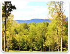 Land in Charlottesville between 5 and 10 Acres for sale