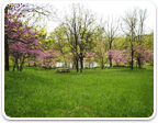 Land in Charlottesville $600 to $800K for sale