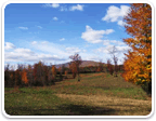 Land in Charlottesville $800K to $1M for sale