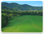 Land in Charlottesville over 50 acres for sale