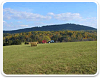Farm Land in Virginia 50 to 100 Acres