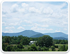 Farm Land in Virginia over 100 Acres