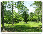 Farm Land in Virginia under 50 Acres