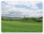 Farm Land in Virginia $1M to $2M