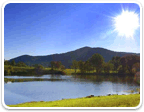 Farm Land in Virginia over $2M