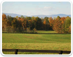 Farm Land in Virginia under $500K