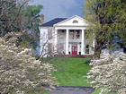 Bellemonte - 626 Acre Horse Farm