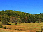 Bundoran Farm - Charlottesville, VA