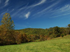 Cove Creek