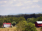 Lazy River - 239 Acre Virginia Farm