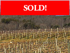 Naked Valley - 12 Acres of Mature Vineyard