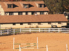 Penmerryl Farm  - 125 Horse Farm