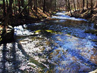 Unique Virginia Hunting and Fishing Spot