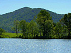 Silver Lake Farm