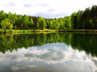 Summer Lake - Waterfront Land in the Blue Ridge Mountains