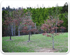 Land in Fluvanna $150K - $500K