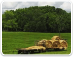 Land in Fluvanna $50K - $150K