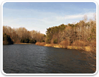 Land in Goochland $150K - $300K