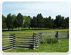 Horse Farms in Virginia  under 20 Acres