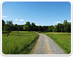Horse Farms in Virginia 50 to 100 Acres