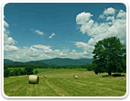 Horse Farms in Virginia over 100 Acres