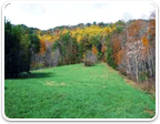 Land in Nelson Over $250K