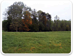 Land in Powhatan $100K - $200K
