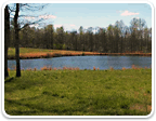 Land in Powhatan Over $200K