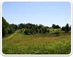 Vineyard Properties in Virginia $500K