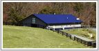 Crozet Real Estate