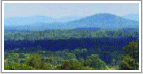 Charlottesville Land for Sale