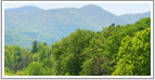 Madison, VA Real Estate