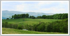 Shenandoah Valley Real Estate
