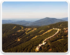 Land in Wintergreen Under $150K