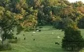 Augusta County Virginia Land Augusta County Virginia Land