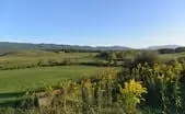 Augusta County Virginia Land Augusta County Virginia Land