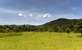 Madison County Virginia Land Madison County Virginia Land
