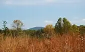 Orange County Virginia Land Orange County Virginia Land